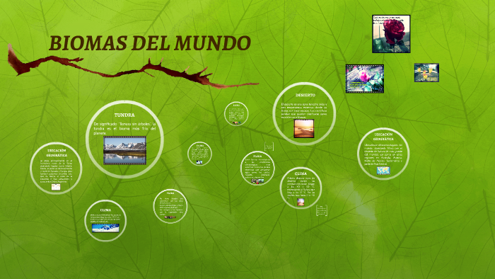 BIOMAS DEL MUNDO by jose asencios on Prezi
