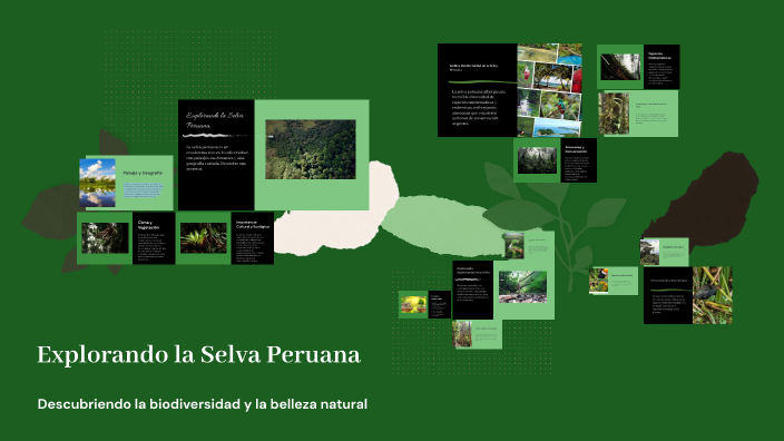 Explorando la Selva Peruana by Lilybeth Tica on Prezi