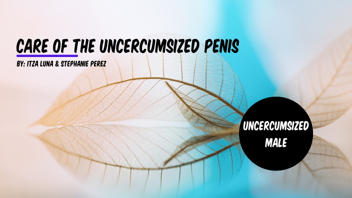 Caring of the Uncircumcised Penis by stephanie perez