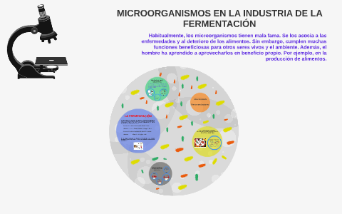 MICROORGANISMOS EN LA INDUSTRIA DE LA FERMENTACION by PaOla Gonzales M ...