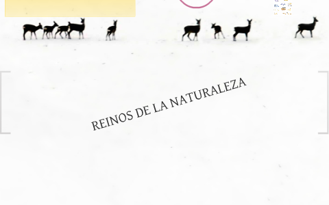Reinos de la Naturaleza by Oscar Rodriguez on Prezi