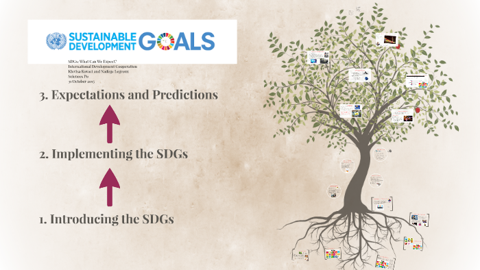 The Sustainable Development Goals (SDGs) by N L on Prezi