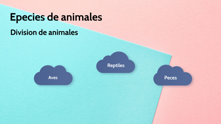 Especie de animales by lucho suarez on Prezi