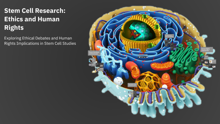 Stem Cell Research: Ethics and Human Rights by A Roy on Prezi