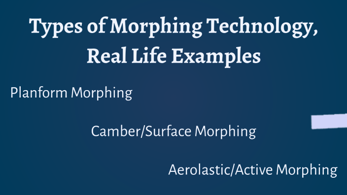 Exploring Morphing Wing Technology: An Interactive Map by Skyler Torres ...