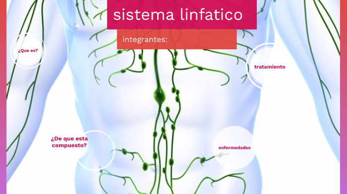Linfático endurecido vaso