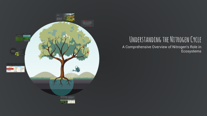 Understanding the Nitrogen Cycle by Enrico George on Prezi