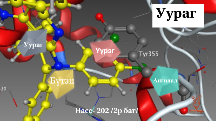 УУРАГ by Bolor solongo on Prezi