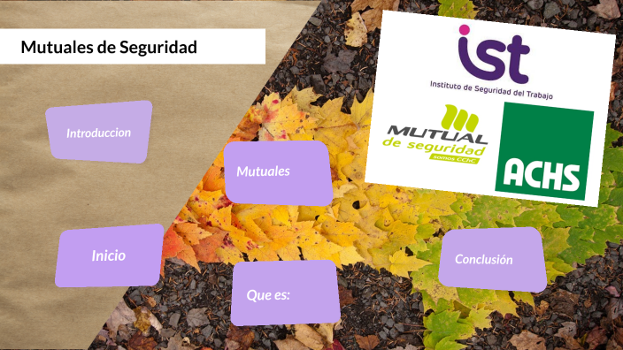 Mutuales De Seguridad By Maryely Contanza Oyarzo Ortiz