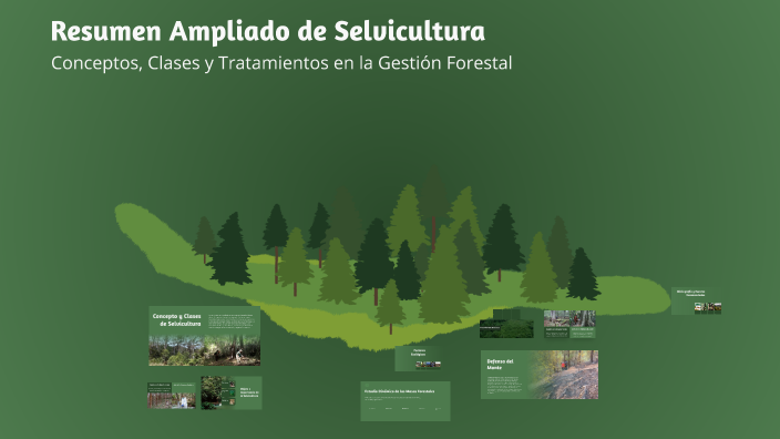 Resumen Ampliado De Selvicultura By Ivan MM On Prezi resumen-ampliado-de-selvicultura-by-ivan-mm-on-prezi