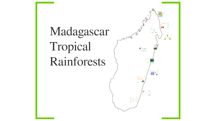 Biomes - Madagascar Tropical Rainforests by Makenna Endebrock