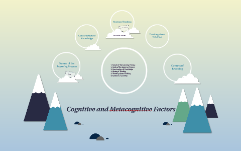 essay about cognitive and metacognitive factors