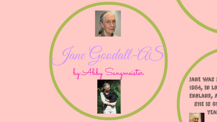 Jane Goodall - A Sangmeister by Beverly Jones