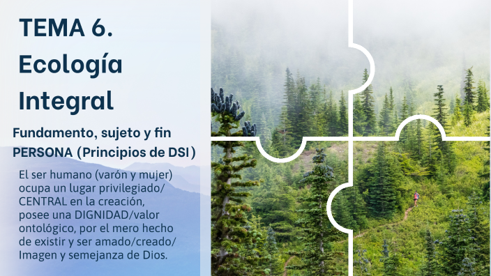 TEMA 6. Ecología integral by Inés Coghen Espino on Prezi