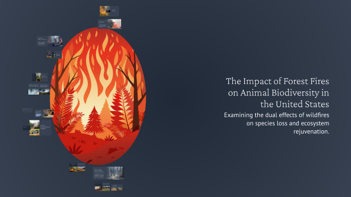 The Impact of Forest Fires on Animal Biodiversity in the United States ...