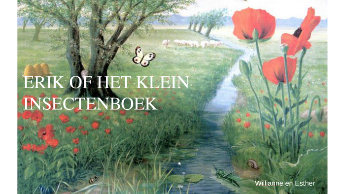 Erik Of Het Klein Insectenboek Boek
