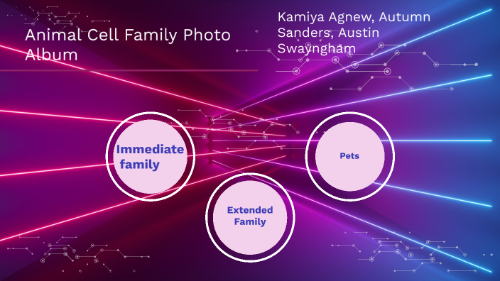 animal-cell-family-photo-album-by-kamiya-agnew