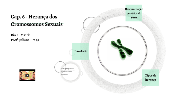 Cap 6 Herança Dos Cromossomos Sexuais By Juliana Braga On Prezi