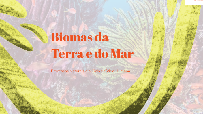 Biomas da Terra e do Mar by Lucas on Prezi
