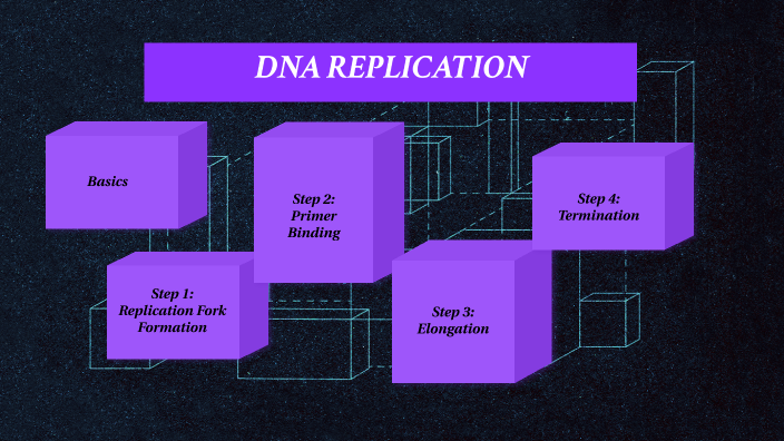 DNA Replication by Jayda May on Prezi