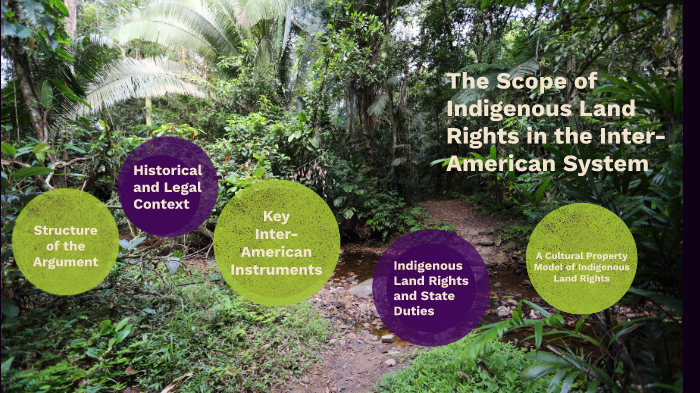 The Scope of Indigenous Land Rights in the Inter-American System by ...