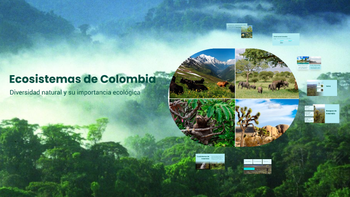 Ecosistemas de Colombia by MARIANA URÁN PABÓN on Prezi