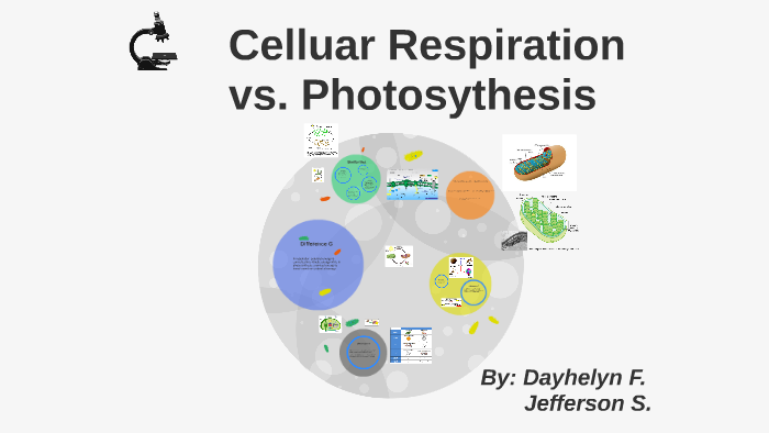 Cellular Respiration vs. Photosynthesis by dayhelyn franck on Prezi