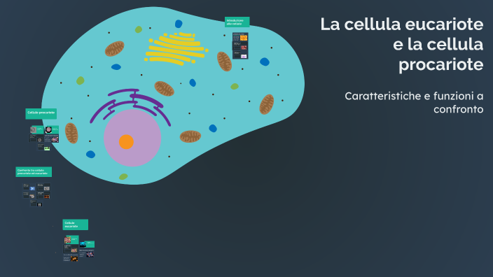 La cellula eucariote e la cellula procariote by Lucrezia Simonetti on Prezi
