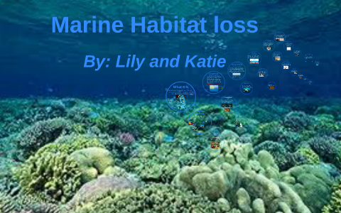 habitat destruction ocean