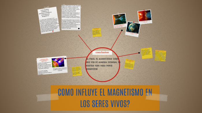 como influye el magnetismo en los seres vivos? by daniela romero valencia