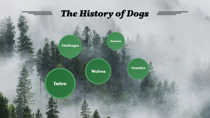 history of dogs essay