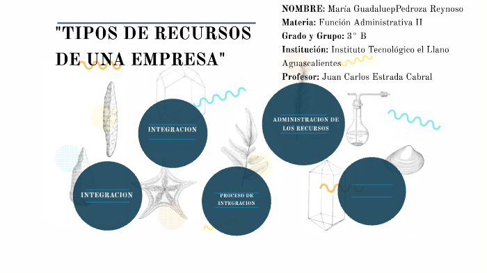 TIPOS DE RECURSOS CON LOS QUE CUENTA UNA EMPRESA by Lupita Pedroza on Prezi