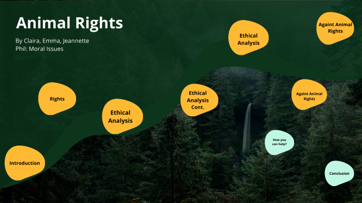 animal rights presentation by Claira Vaynberg on Prezi