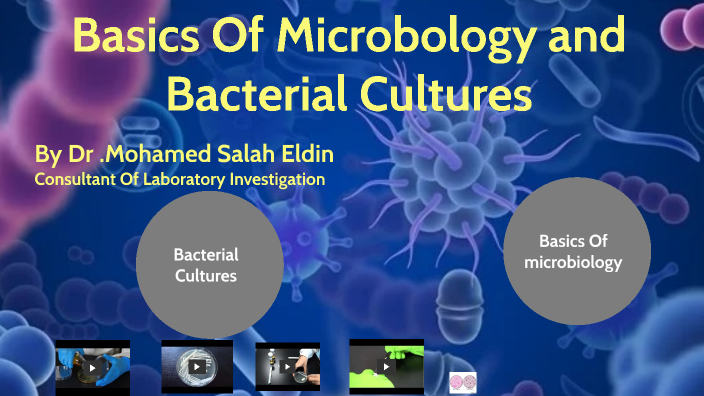 Microbiology by Mohamed Salah on Prezi