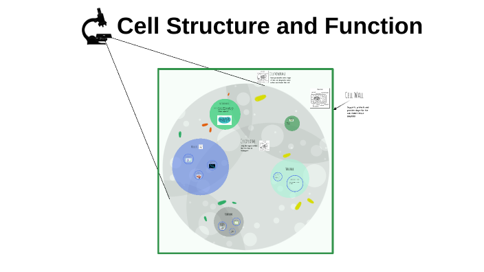 Cell Structure And Function By Jesse Perrone On Prezi