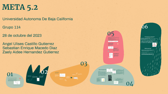 META 5.2 by Sebastian Enrique Macedo Diaz on Prezi