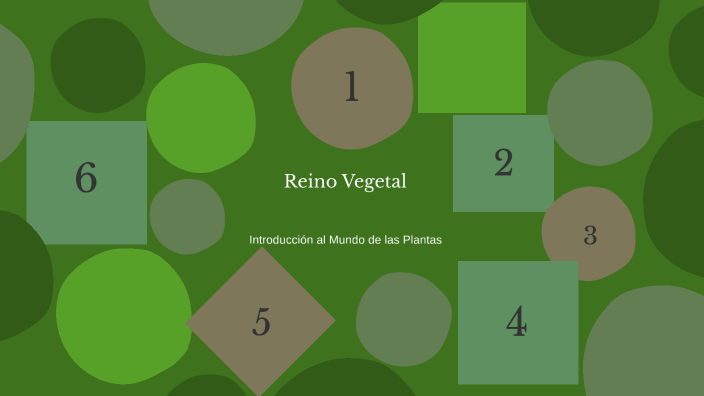 Reino Vegetal by JANNETTE LUCIA CASTILLO VEGA (DOCENTE PRIMARI on Prezi