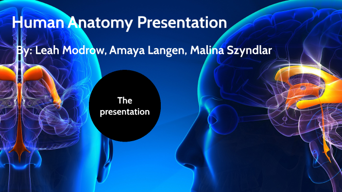 human anatomy prezi presentation