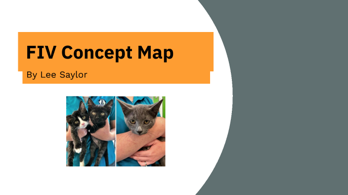 FIV Concept Map by Lee Saylor on Prezi
