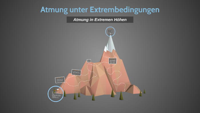 Atmung Unter Extrembedingungen By Dirk Pollmann