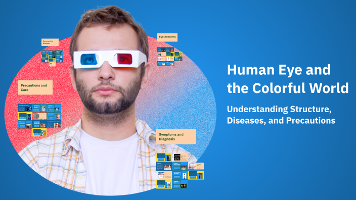 Human Eye and the Colorful World by devesh thakuer on Prezi