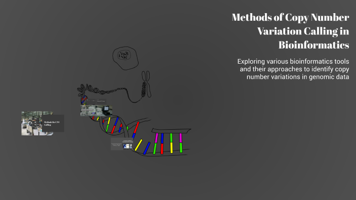 Methods of Copy Number Variation Calling in Bioinformatics by ...
