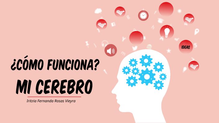 Cómo funciona el cerebro by Carmen Vieyra on Prezi