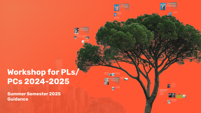 Sccpss Unveils New 2024 2025 Compensation Plan Details Inside - fymoinp