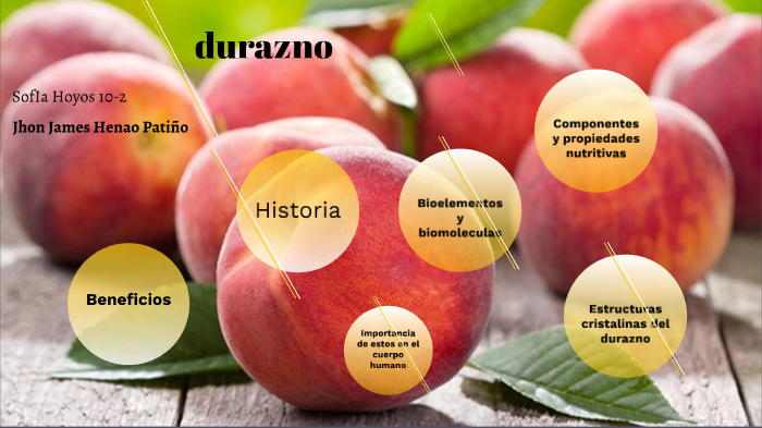 durazno by Robert O'c on Prezi