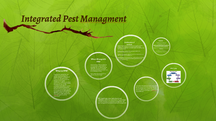 Integrated Pest Management (IPM) by Patrick McCann