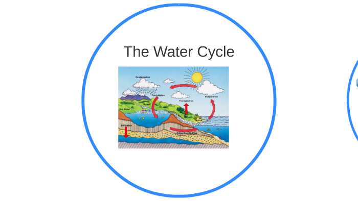 The Water Cycle by meghan hrynyk on Prezi