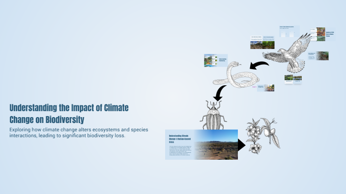 Understanding the Impact of Climate Change on Biodiversity by Joselyn ...