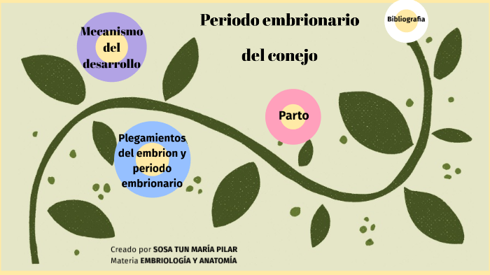 Periodo Embrionario Del Conejo By Marie Sosa On Prezi 0420