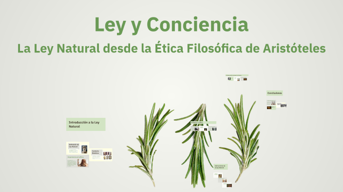 Ley y Conciencia by Francisco Alonso Zarco Zamora on Prezi